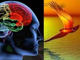 POTENZIALILTA DEL CORPO DEL CUORE E DELLA  DELLA MENTE